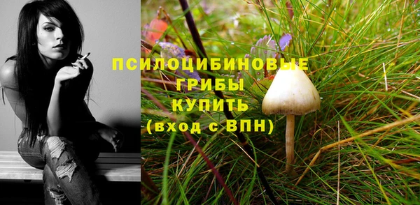 ешки Бородино