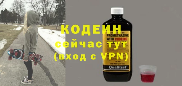ешки Бородино