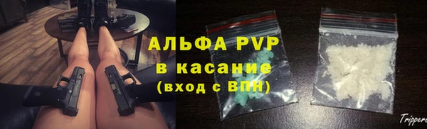 ешки Бородино