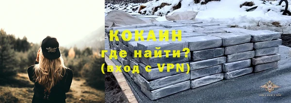 apvp Тайга