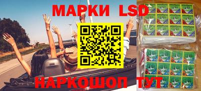 индика Вязьма