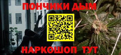 индика Вязьма