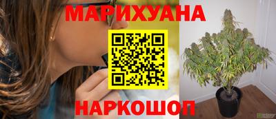 индика Вязники
