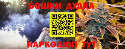 индика Вязьма