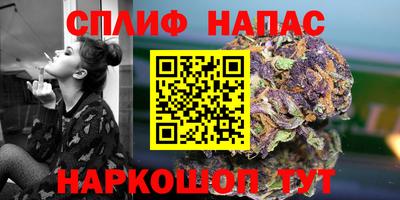 индика Вязники