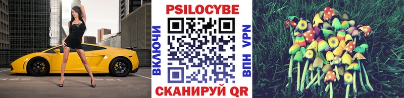 Псилоцибиновые грибы Cubensis  сколько стоит  Выборг 